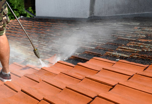 Best Power Washing Near Me  in Katy, TX