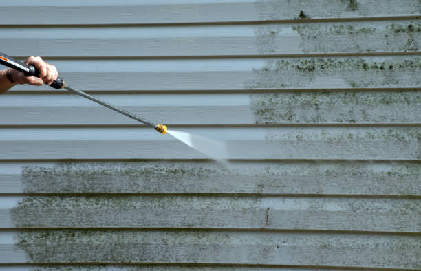Best Roof Pressure Washing  in Katy, TX